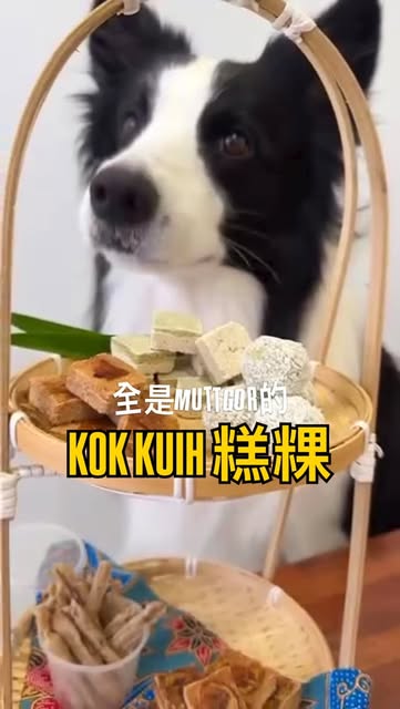 Dog photo from Mutt Store Instagram